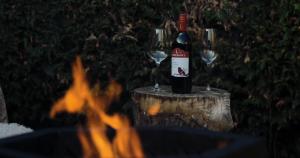 Maya tempel - De IJsvogel