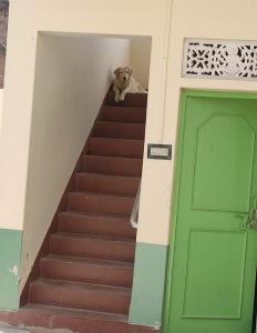 Gulzar Bhawan
