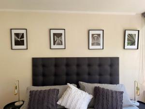 Loft Mestizo