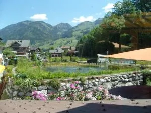 维斯塔度假酒店 - 茨韦西门