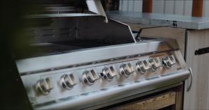 Maya tempel - De IJsvogel