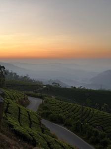 Moonveil Premium Villa Munnar
