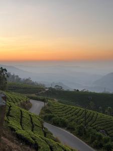 Moonveil Premium Villa Munnar