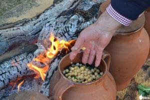 Herdade da Nave do Lobo