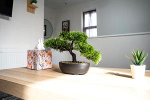 Modern Luxurious Apartment with Balcony