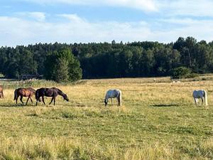 4 person holiday home in ADELSÖ