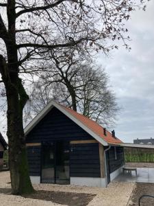 De Rheebok