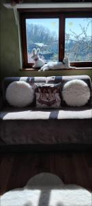 Chambre cosy