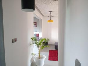 TN Apartments deviat