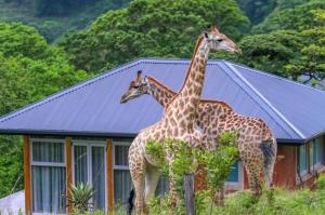 Yembeni Private Bush Lodge, Ballito, KZN, South Africa