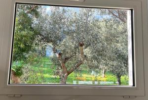 Villa S&M, Large Apartment, Quiet Countryside