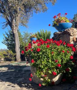 Villa S&M, Large Apartment, Quiet Countryside