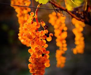 Le Stanze Della Castellana img37