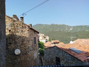 10mn des plages - Olmeto village App 4P