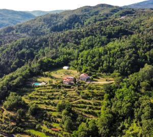 Agripodere il Falco - Tuscany Nature & Relax