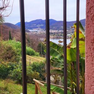 LA COLLINETTA appartamento di vacanza