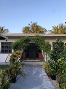 Thresher shark inn