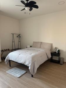 Casa Andra - Central House in Torreon
