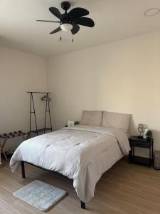 Casa Andra - Central House in Torreon