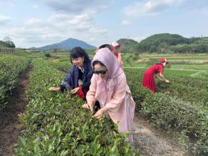 Đức Tới Farmstay