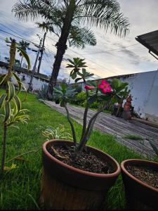 Casa Feliz px a Praça da Bíblia