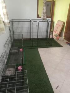 Thompson Guest House & Pet Hotel Banyuwangi