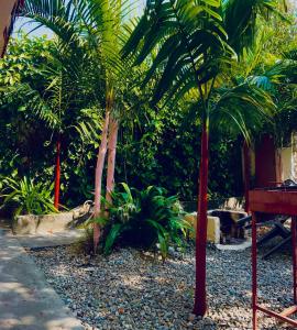 KMP Garden Retreat & Bar