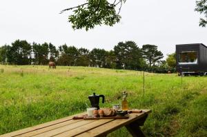 Ty Pois - Parcel Tiny House - Tiny House Celestine en Bretagne MAE-2421