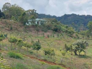 Casa Verde Platanillo, Wifi, AC, at river