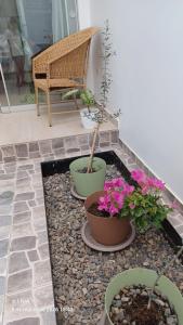 Chicama DAmore - Family Place & Wave Paradise - Parking & kidszone - on Puerto Chicama