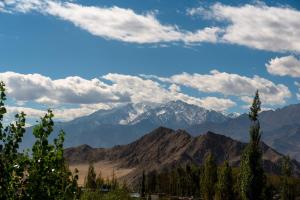 Hotel La Park, Leh