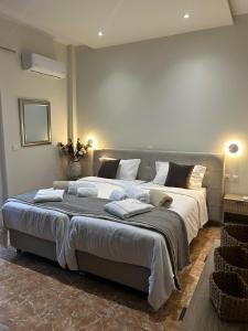 Elaionas Luxe Apartments with Private Pool