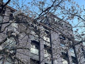 Beautiful Japanese Garden Kagetsu