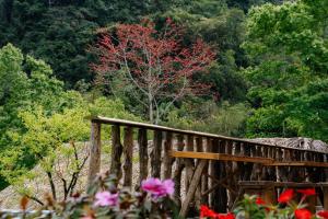 Tha Hill Panorama - Private Motorbike, SUV, Jeep Tour & Motorbike Rental