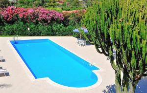 Lovely Apartment In Ricadi With Swimming Pool