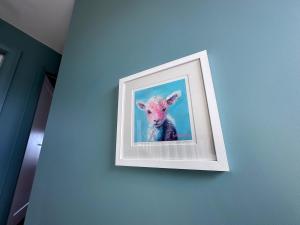 Large Comfortable House