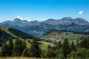 Résidence Les Balcons Du Charvin - Appartement de charme face aux montagnes MAE-5261