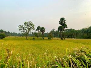 Strictly Vegetarian only Coconut Farm House Peaceful 2BRK Nature Retreat