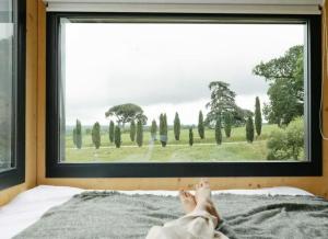 Château Couronneau - Parcel Tiny House - Tiny House au coeur dun domaine viticole Bordelais MAE-2403