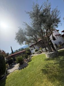 The House with Water Lilies