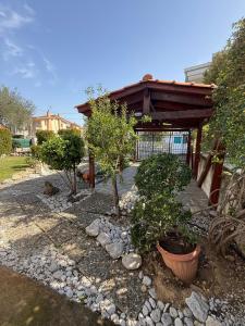 The House with Water Lilies