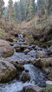Rustic Himalayan Stay Apple Orchards Fairy Forest