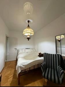 Apartment მყუდრო ბინა