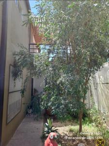 Posada el Búho Chillón
