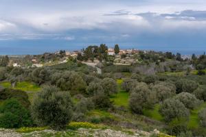 Amnia Villas with Private Pool