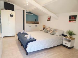 LOU PITCHOUN - Jacuzzi SPA Privé - Vignes - Proche ALBI et CORDES