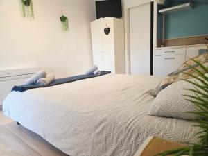 LOU PITCHOUN - Jacuzzi SPA Privé - Vignes - Proche ALBI et CORDES