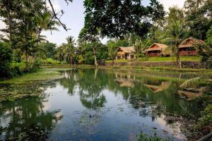 Nhà Nghỉ Giữa Thiên Nhiên Superior (Superior Cottage)