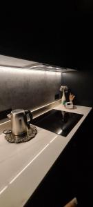 Stylish New-Build Studio in Prime Location in London