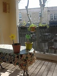 Mauguio-Carnon Appartement, Tout Confort, Clim, Wifi, Balcon, Parking privé couvert, 15 min de la Mer, de Montpellier